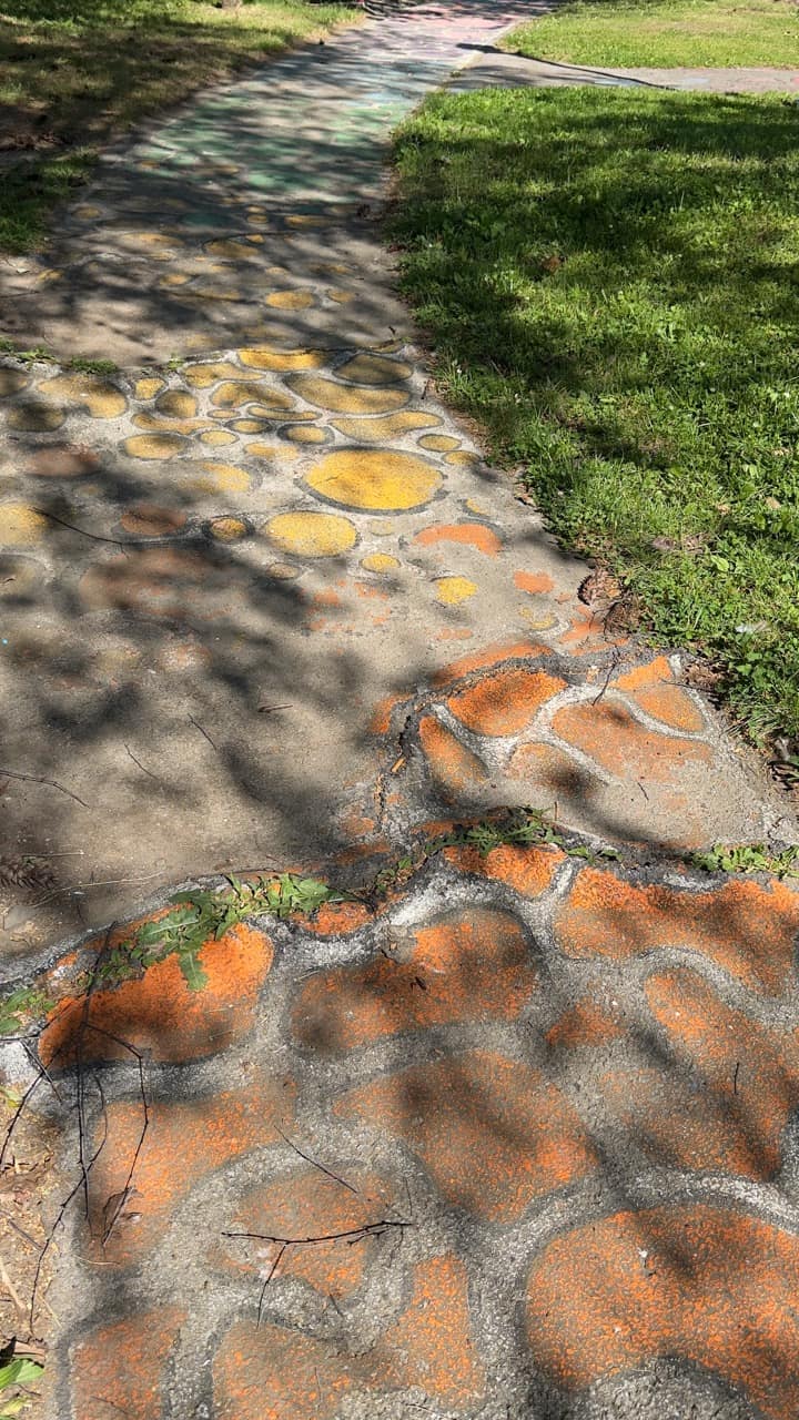 A faded and cracked rainbow-painted path at Audrey Carey Park, with one section heavily buckled.