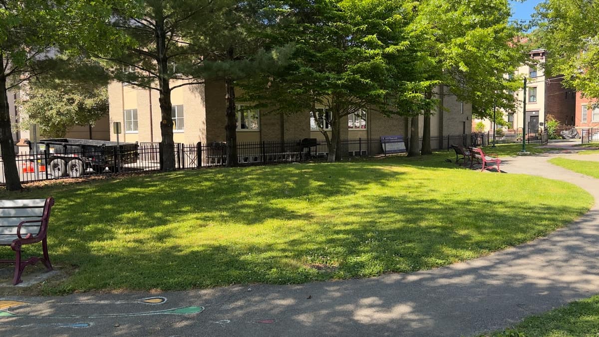 A small grassy mound with trees inside Audrey Carey Park.