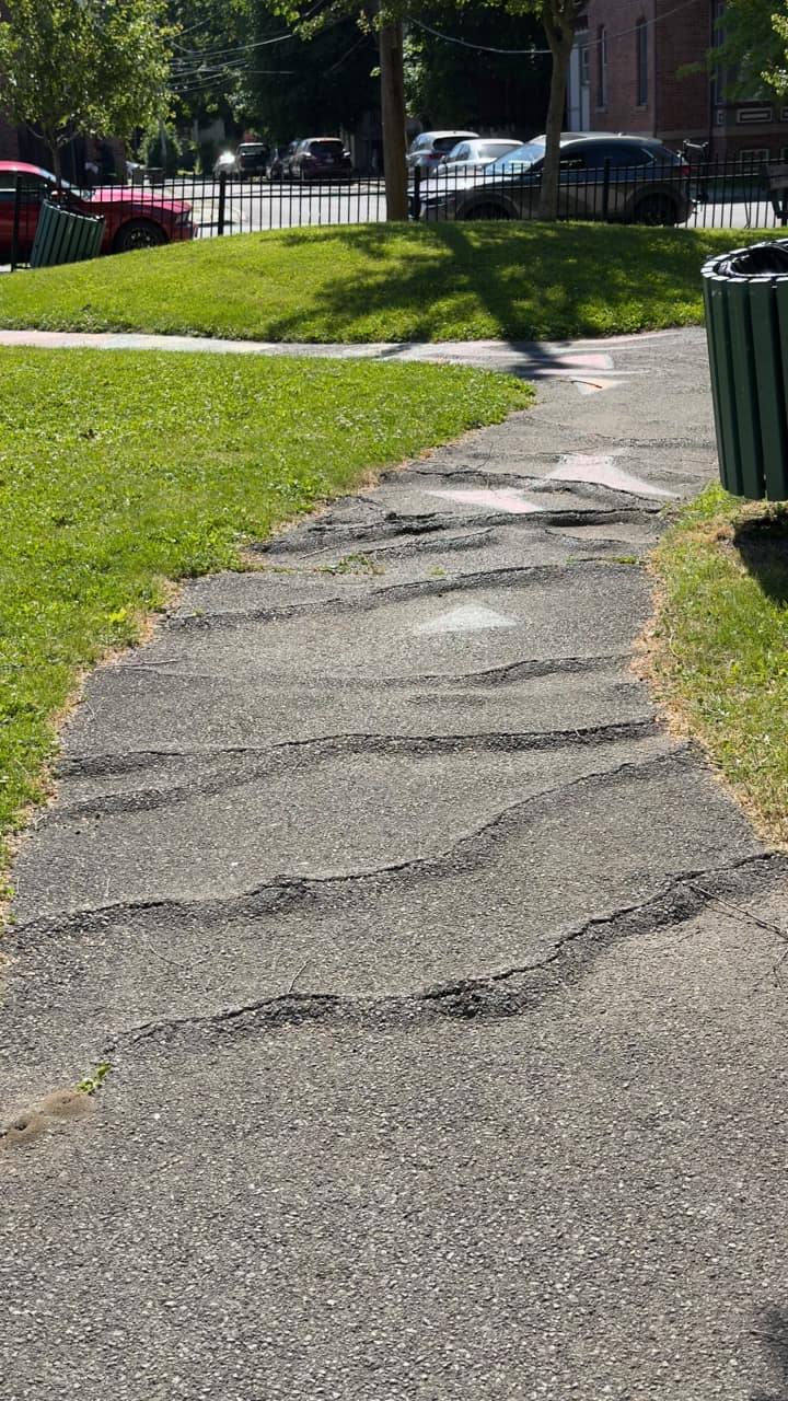 A heavily cracked and buckled asphalt path at Audrey Carey Park.
