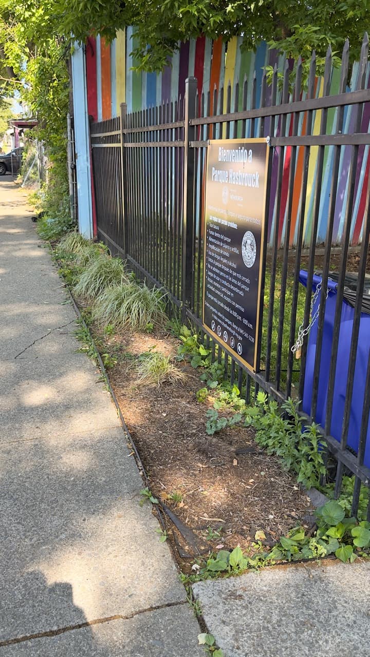 A sparse planting bed along the sidewalk in front of Hasbrouck Street Park.