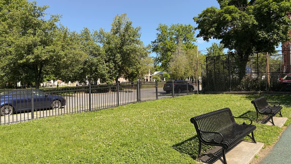 An open grassy area at Tyrone Crabb Park near the perimeter fence.