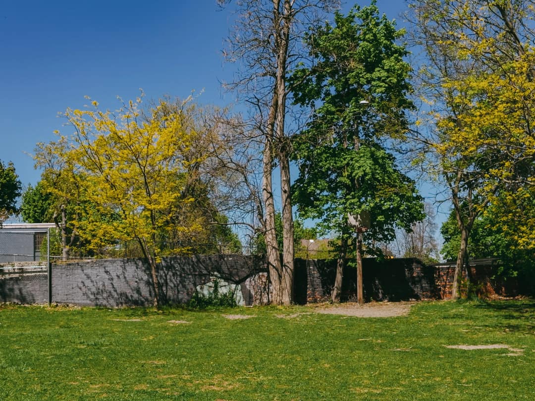 Tyrone Crabb Park today.