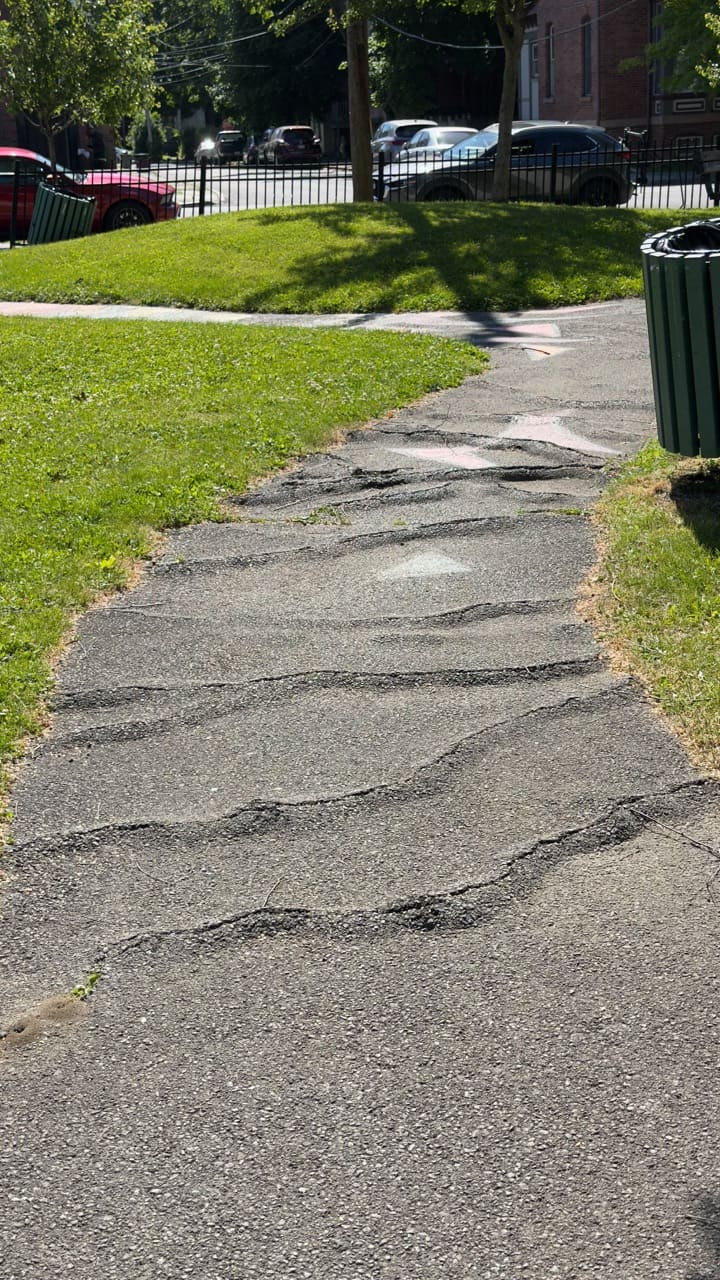 A heavily cracked and buckled asphalt path at Audrey Carey Park.